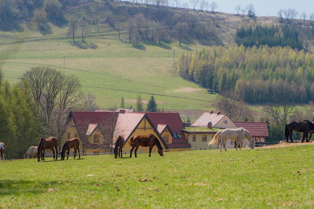 Фермерские дома Stajnia u Kalinów Unisław Śląski-4